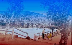 Tiaret 511- Piscine